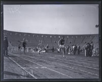 College athlete Leighton Dye finishing the hurdle race at the Coliseum, Los Angeles, 1926