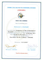 Certificate of particpation 2