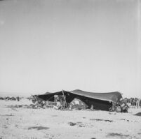 Bedouin tent