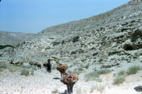Mujahideen With Their Horses in The Valley