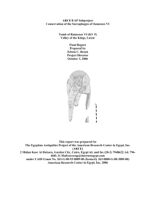Ramesses VI Sarcophagus Conservation: Final Report (October 2006)
