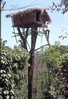 Tea plantation watchtower, Vandiperiyar (India), 1984