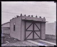 Birdhouses on top of a garage on Rimpau Blvd., Los Angeles, 1920-1939
