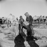 Bedouins filling up a waterskin