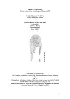 Ramesses VI Sarcophagus Conservation: Progress Report 5 (June 2003)