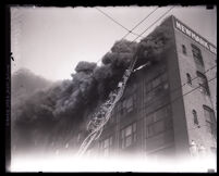 Firefighters on ladder fighting flames at Newmark Bros. building, Los Angeles, 1928