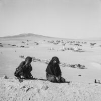 Bedouin women on a hilltop