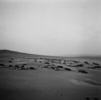 View of a Bedouin encampment