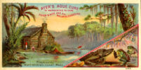 Ayer's Ague Cure is warranted to cure fever & ague and all malarial disorders [inscribed]