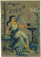 Dyer's Witch Hazel [inscribed]