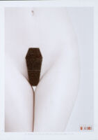 Poster of naked woman with pubic hair shaped like a coffin [descriptive]
