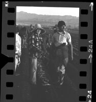 Manuel and Maria Rodriguez, agricultural laborers working celery field in Oxnard, Calif., 1973