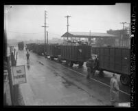City garbage trucks waiting in queue to unload rubbish, Los Angeles, Calif., 1949