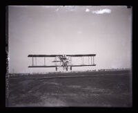 Stunt flyer Al Wilson flying in a Curtiss Pusher plane, Los Angeles, circa 1927