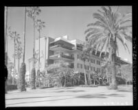 Beverly Hills Hotel, Beverly Hills, 1959