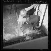 Tom Evans, hanging on ladder, retrieving beaker of water for testing at Grandview pumping station in Glendale, 1974