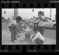 Three African American preschoolers painting fire hydrant for United States Bicentennial in Los Angeles, Calif., 1976