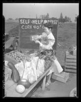 Customer at roadside honor system vegetable stand in Huntington Beach, Calif., 1948
