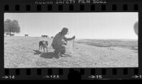 Ranchita Oaks Ranch manager Dan Lemons inspecting drought-parched soil near Paso Robles, Calif., 1976