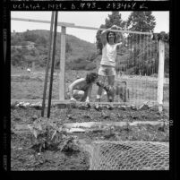 Mark Sample and Gail Rosenberg working in community garden in Wattles Park in Los Angeles, Calif., 1976