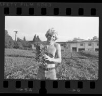Agronomist, Scott Garrett at his pick-it-yourself garden in Brentwood, Calif., 1977