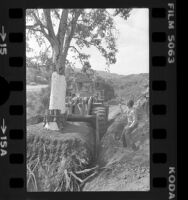 Bulldozer moving California Live Oak in development in Woodland Hills, Calif., 1979