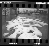 Accumulation of hail along street in Santa Monica, Calif., 1981