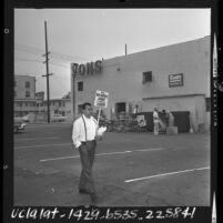 Lone picket carrying sign in parking lot of Vons Market on Alvarado Street in Los Angeles, Calif., 1964