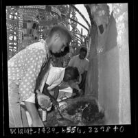 African American boys from Markham Junior High School gardening at Watts Towers, Los Angeles, Calif., 1965