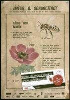 Natur & Sexualität: Biene und Blume [inscribed]