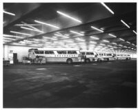 Greyhound Bus Terminal, buses being loaded with luggage, 1967