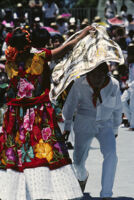 Tehuantepec, couples dancing [blurred], 1985