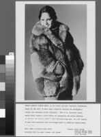 Photostats of Cashin's illustrations of fur coat designs for R.R.G.