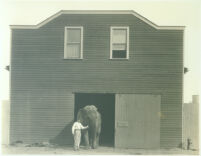 Handler with elephant outside barn at Universal City, Calif., 1915