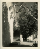 James R. Martin residence, stairs and lion head wall fountain, Los Angeles, 1931