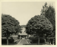 Harvey Mudd residence, tree and hedge lined pathway to house, Beverly Hills, 1933