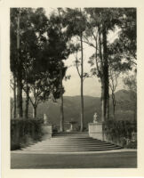 George Owen Knapp residence, stairs ascending to fountain framed by eucalyptus trees with mountains in background, Montecito, 1931