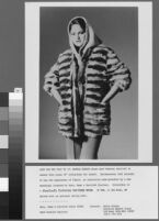 Photostats of Cashin's illustrations of fur coat designs for R.R.G.