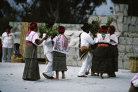 Santa Catarina Estetla, dancers holding leaves, 1985