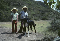 Oaxaca, boys and dog, 1982 or 1985