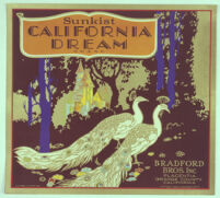 Sunkist California Dream Brand : Bradford Bros. Inc. Placentia, Orange County, California