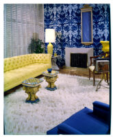 living room, blue wallpaper, white shag rug