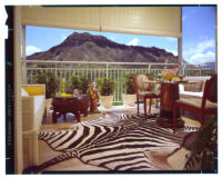 living room with zebra rug