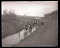 Irrigation works; men on horseback in water-filled ditch