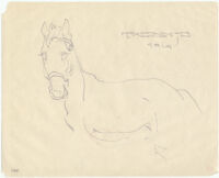 Trebinje [Side view of a horse with its head turned towards the viewer.]