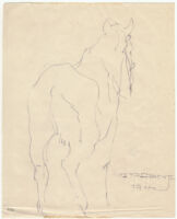Trebinje [Rear view drawing of a horse, facing away from the viewer.]