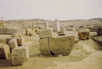 Tanis, Temple of Amun