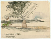 Lucillo, P.R. [View of a palm tree on the shoreline in Luquillo, Puerto Rico.]