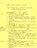 National Staff Meeting Minutes - February 17, 1980