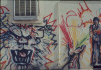 Studies of Street Grafitti
